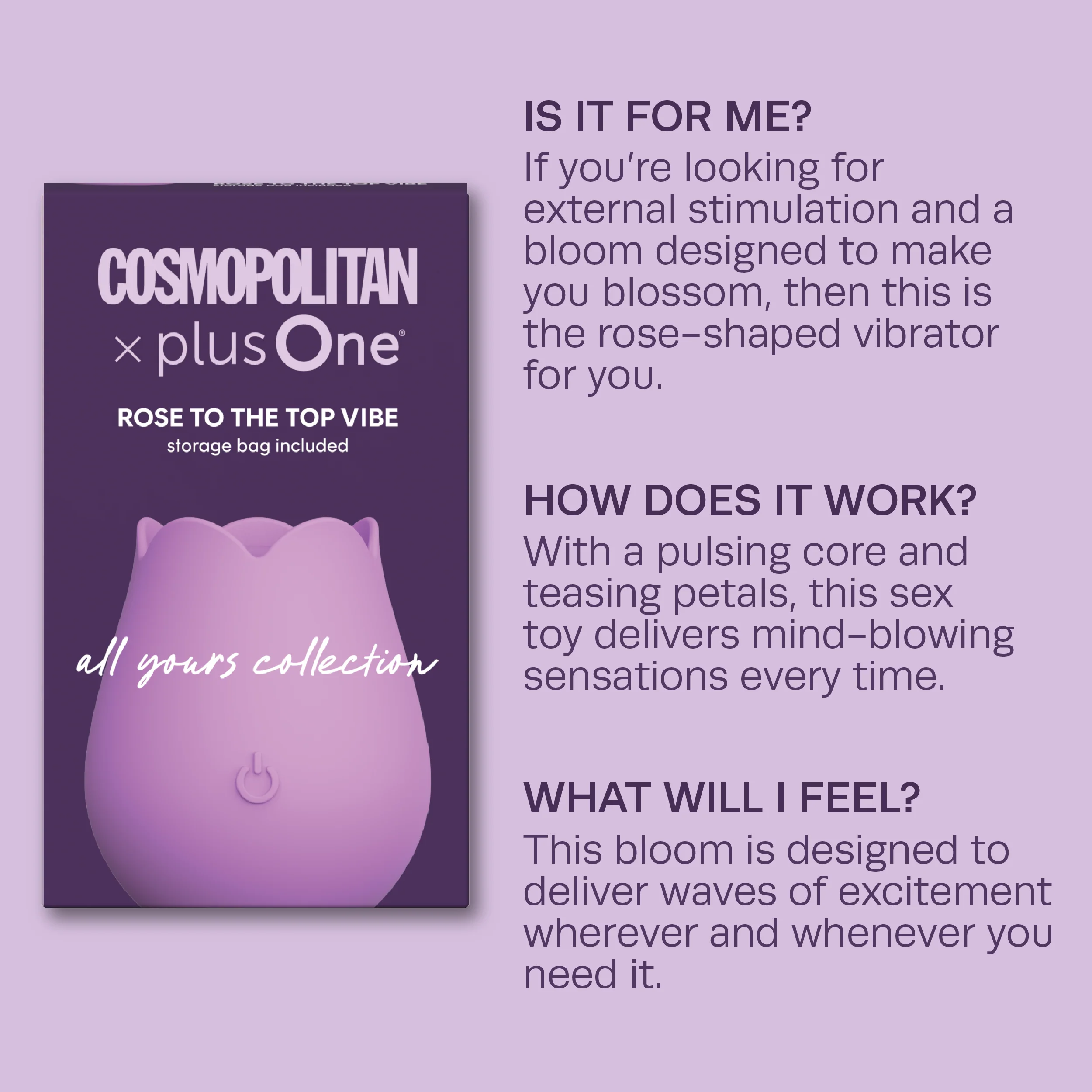 Cosmopolitan X plusOne Rose to the Top Vibe - Image 6